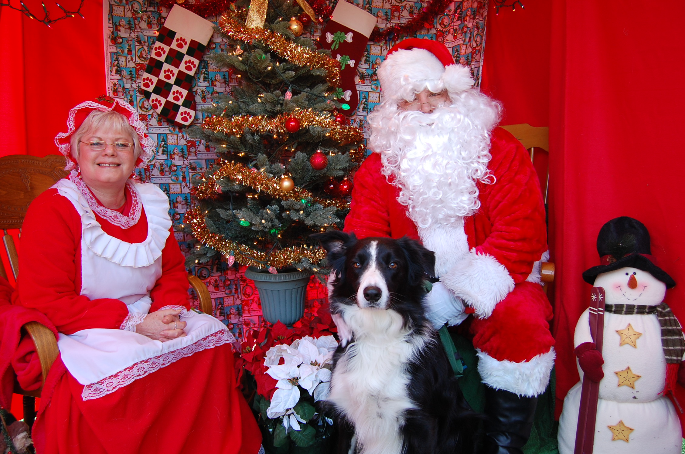 Max with Santa Paws